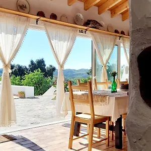 Amendoa , Alta Mora Portugal